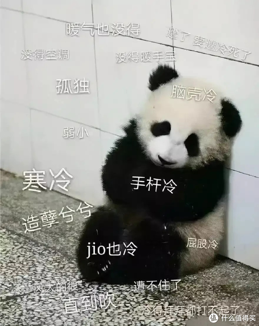 5000元以下口碑羽绒被大PK,参数对比加实测,搞定历史最冷冬天