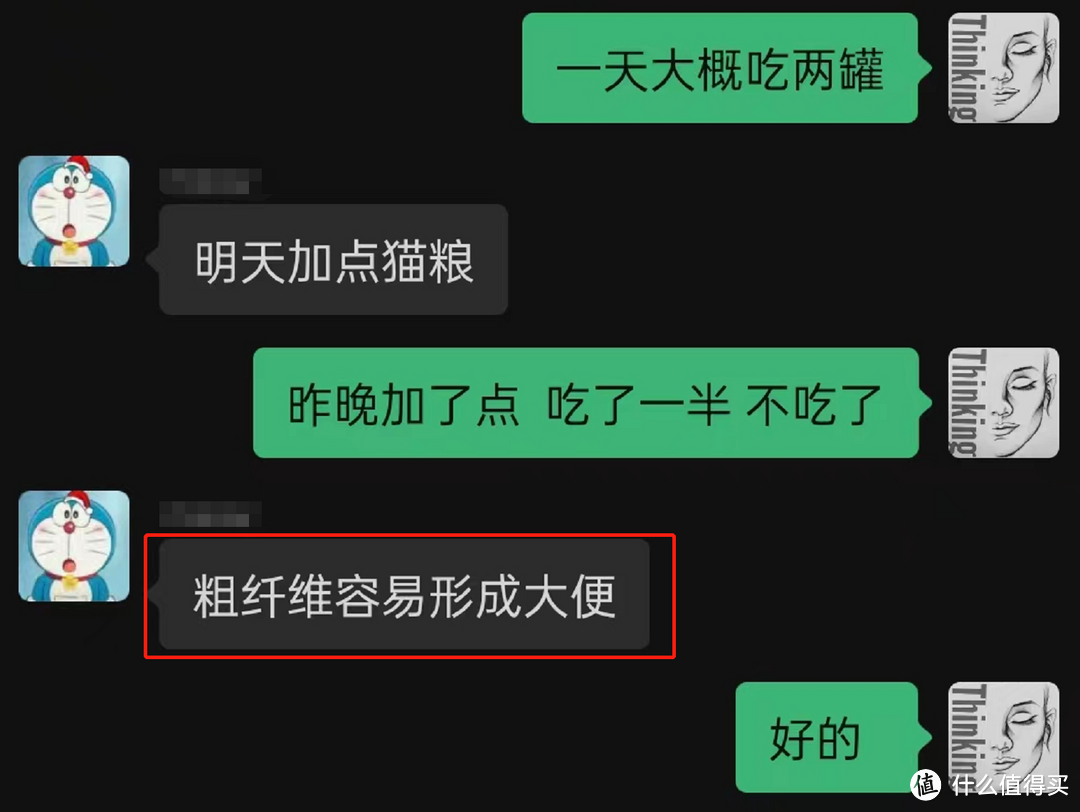 小猫绝育手术前后注意事项，以及术后恢复工作经验分享