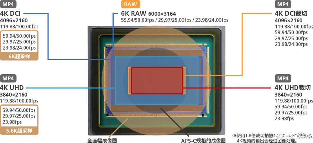 有必要升级佳能R3吗？详细为你分析R3摄影及视频性能