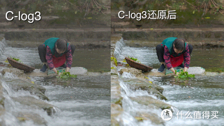 有必要升级佳能R3吗？详细为你分析R3摄影及视频性能