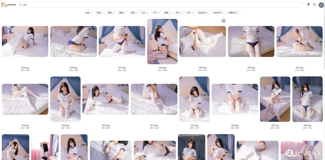 全新NAS照片工具丨管理、分类、排版丨最好用的Pichome/Eagle搭建教程