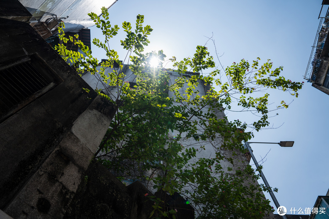 索尼 FE24-70mm F2.8 GM II 深度体验,轻便高质、独此一份