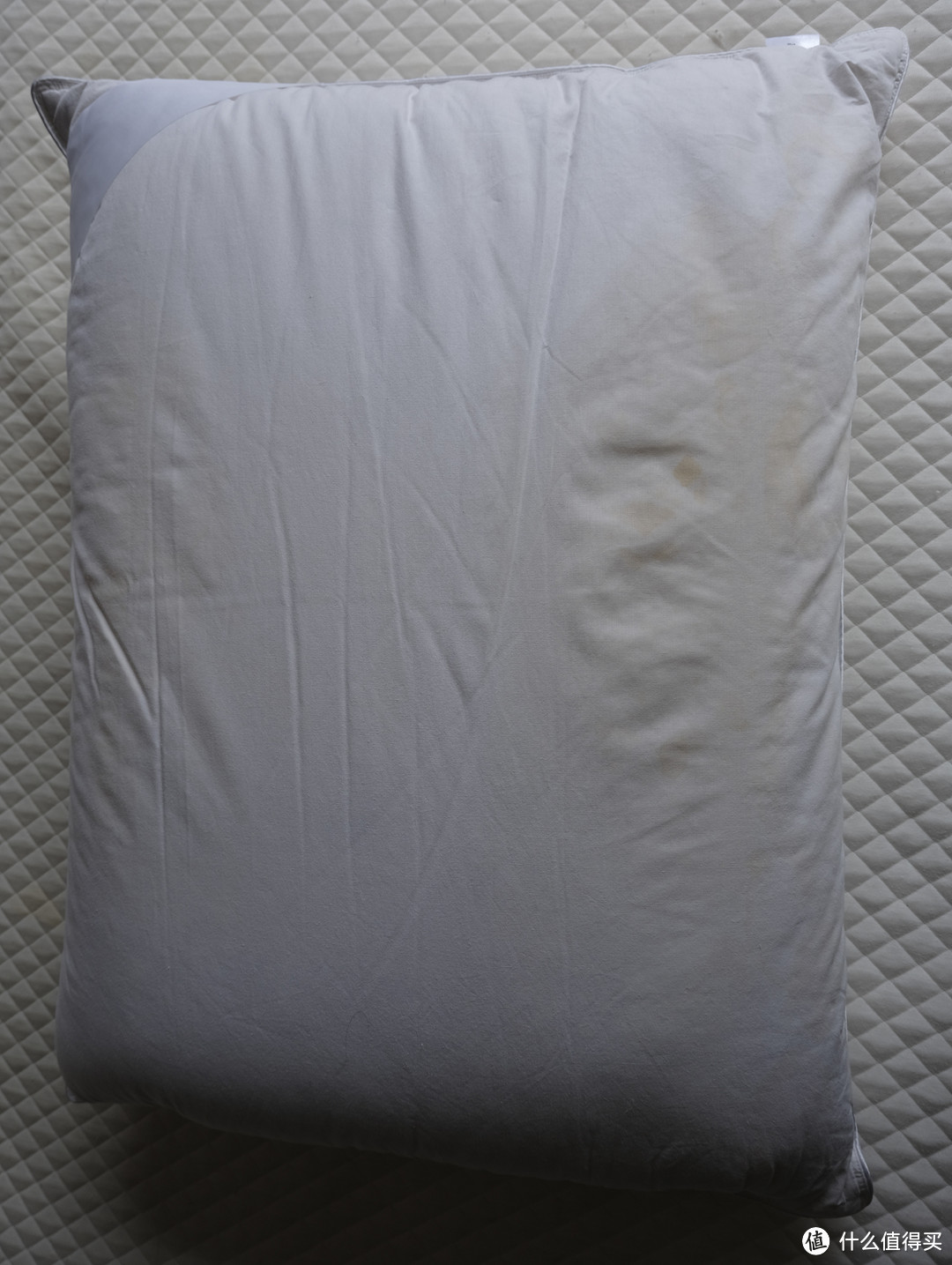 一年一度洗枕头咯，这就是我为什么一定要用可水洗鹅绒枕的原因