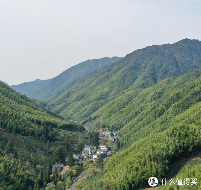 两大知名红茶，祁门红茶和正山小种哪个口感好？