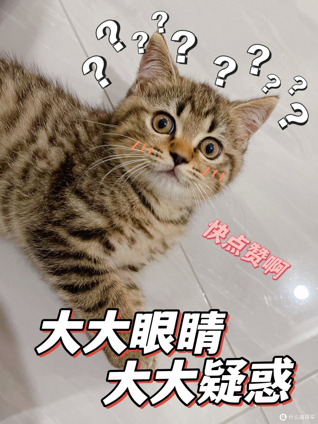 ACTOYS评论有奖中奖啦,盲盒开出了苇名肝帝——苇名弦一郎