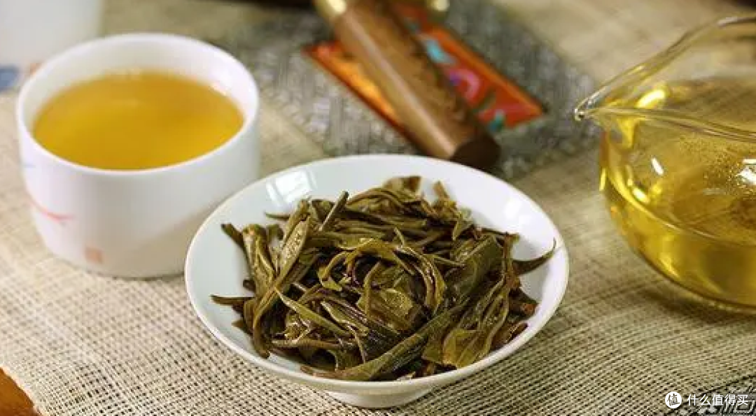 经常喝普洱,需要注意4点,避免“学费茶”