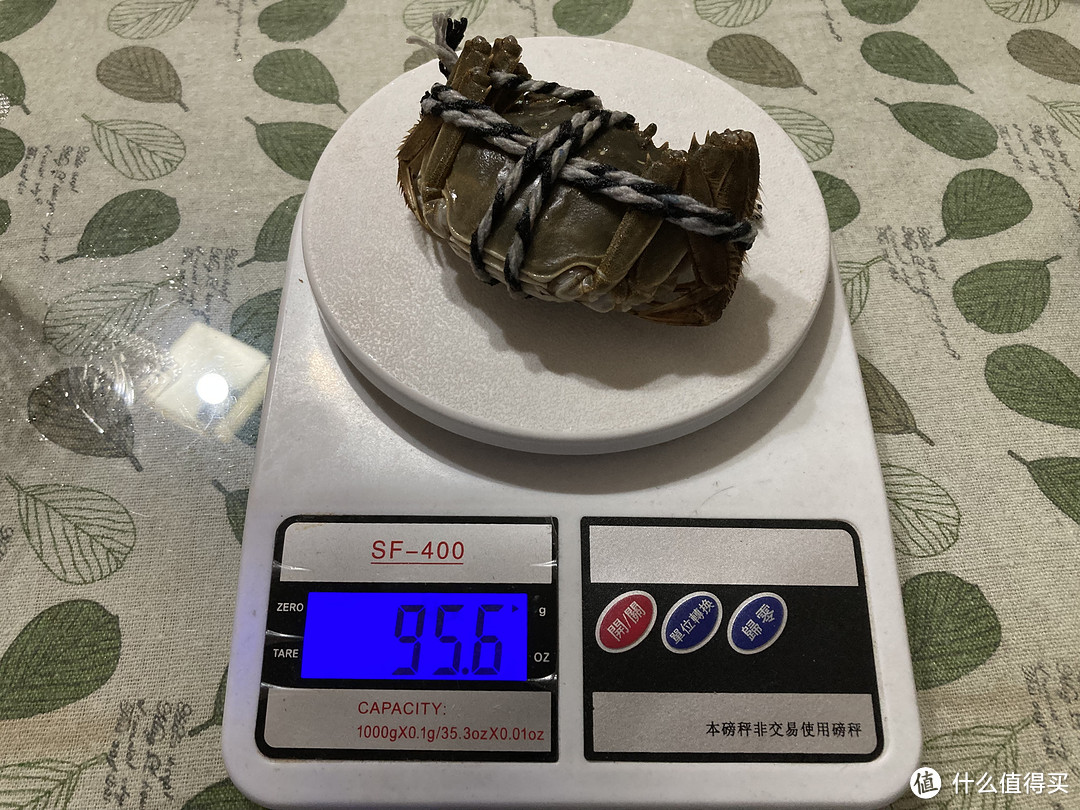 买了6只1.6两的母蟹，体检基本合格。