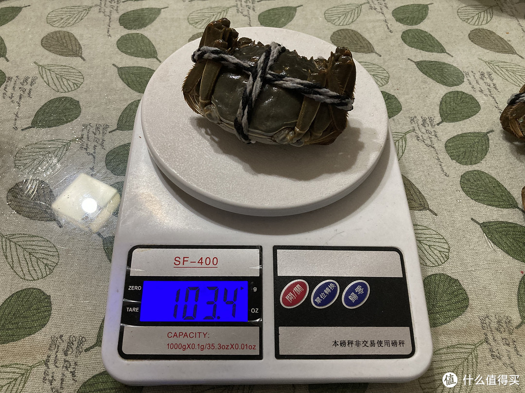 买了6只1.6两的母蟹，体检基本合格。