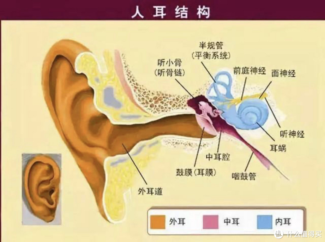 骨传导耳机结构图图片