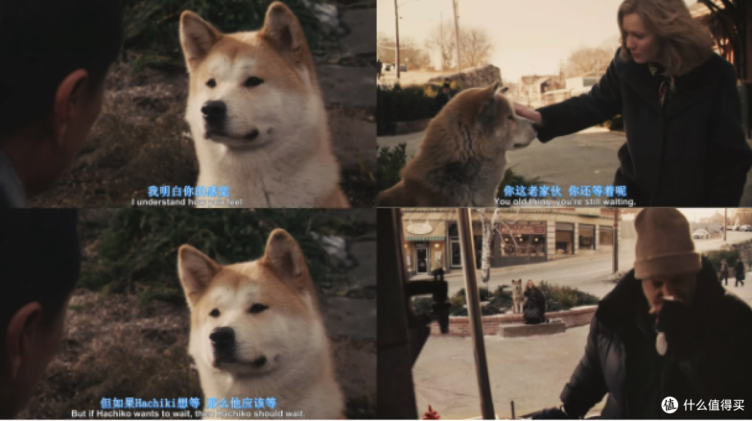 看完《忠犬八公》真的很想养一只狗狗