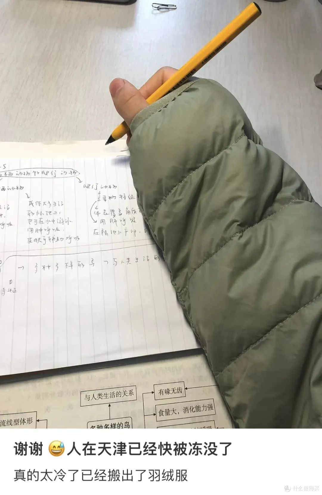 别抱怨降温了，要知道古人的秋裤都是开裆的