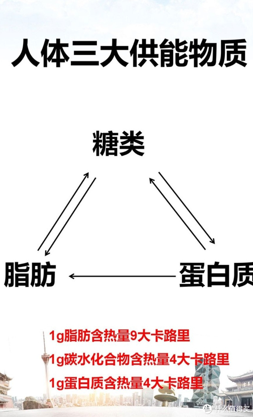 三大能量热量占比