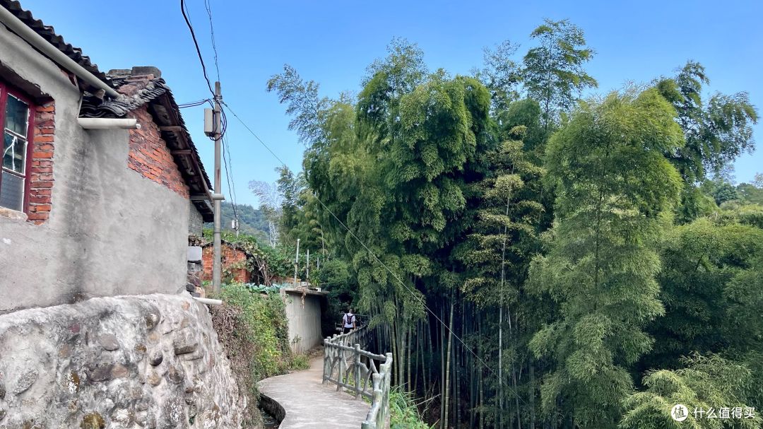 梅岭印象12,堎上村-徐家村-208电台,青山多绣绮