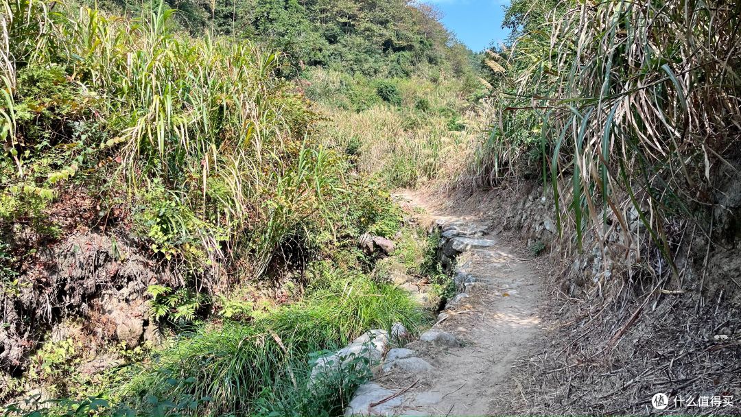 梅岭印象12,堎上村-徐家村-208电台,青山多绣绮