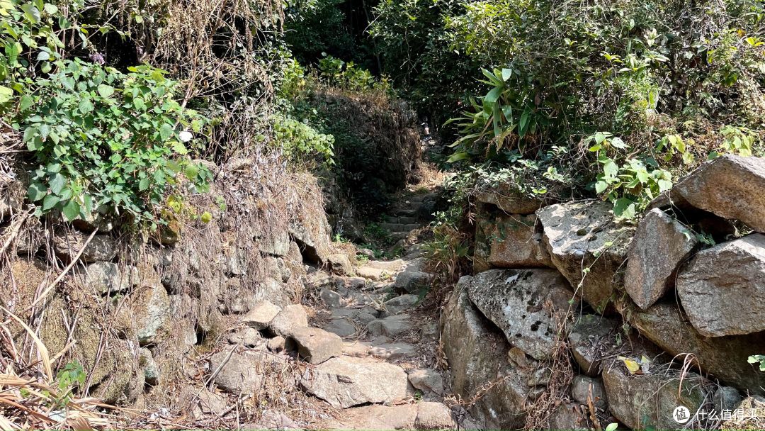 梅岭印象12,堎上村-徐家村-208电台,青山多绣绮