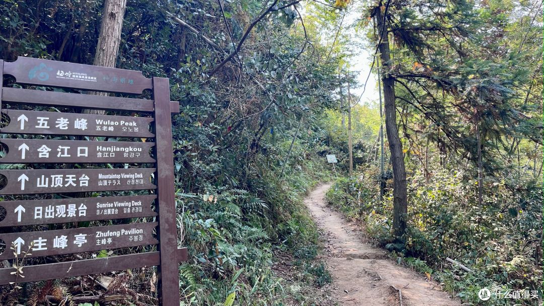梅岭印象12,堎上村-徐家村-208电台,青山多绣绮