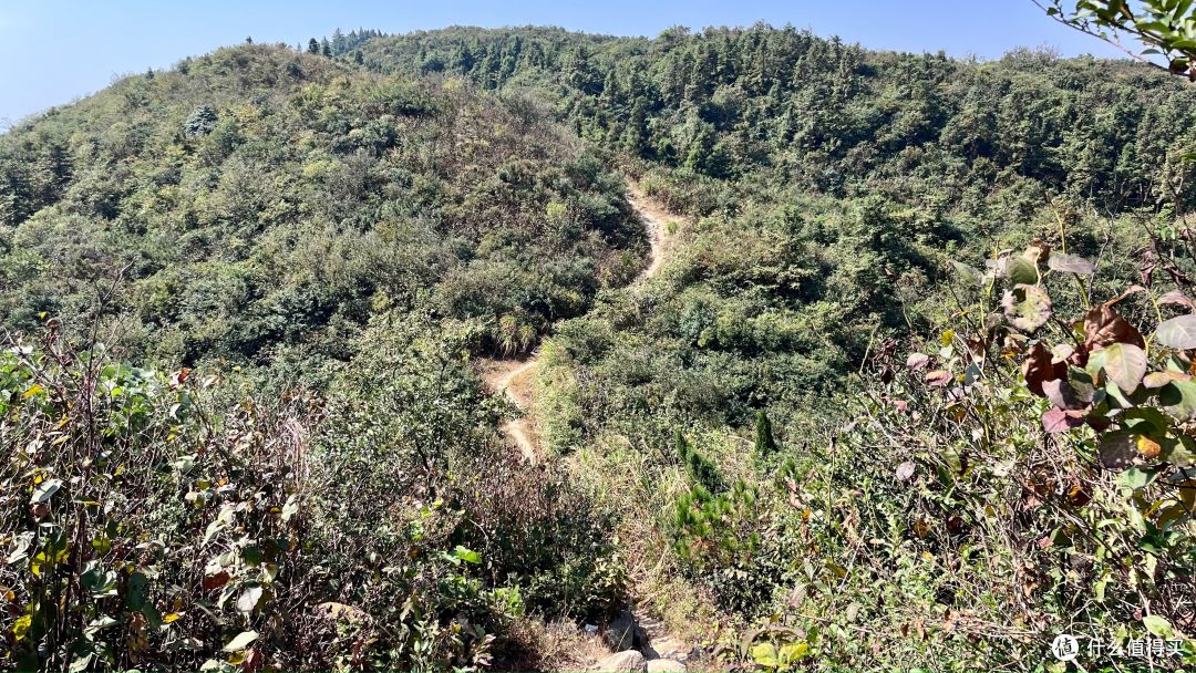 梅岭印象12,堎上村-徐家村-208电台,青山多绣绮