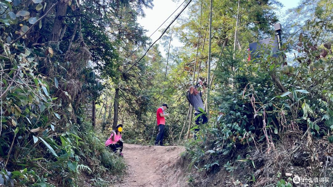 梅岭印象12,堎上村-徐家村-208电台,青山多绣绮