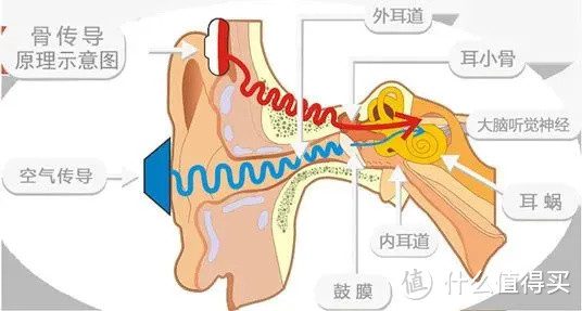【开箱实测】earsopen骨聆SS990真无线骨传导蓝牙耳机|全方位使用体验