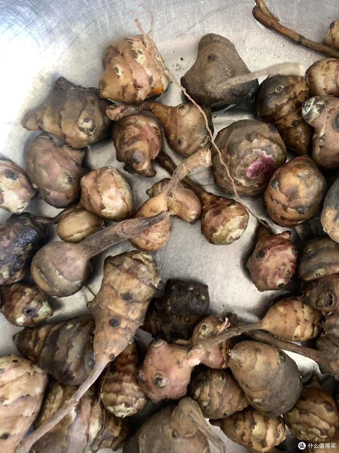 用了它还会翻车吗？双11种草神器