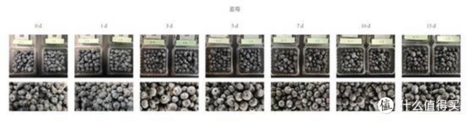 TCL格物冰箱Q10上市，"变温区"成了高端冰箱的标配？