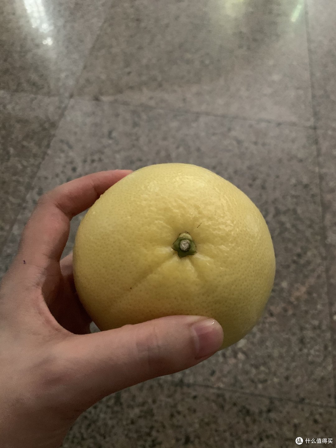 葡萄柚