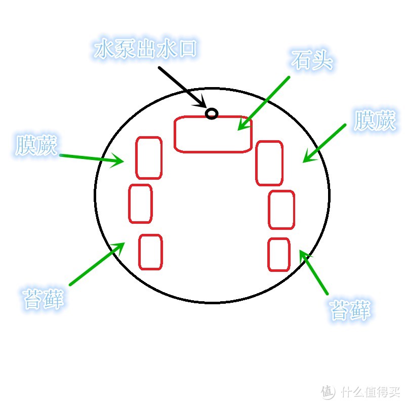 铺苔藓前一定要加水测试水泵的工作状态，不然返工会很麻烦。还有就是记得用小碎石把出水口的管子遮挡一下以免影响美观