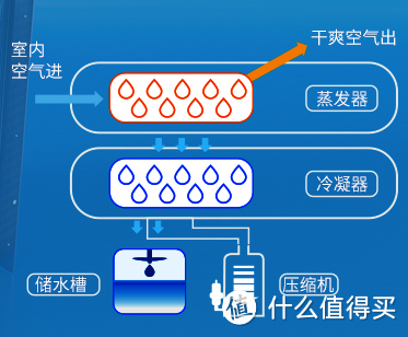 家里很潮湿，防潮有必要用除湿机吗？