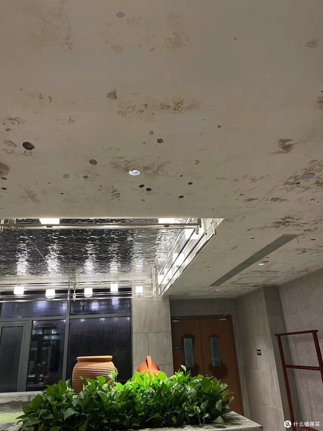 右翼建筑墙体已经出现了大片霉斑