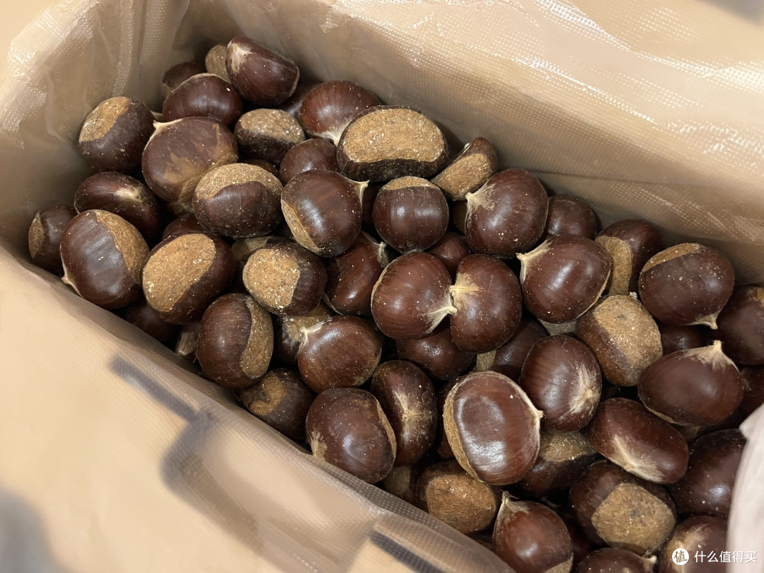 冬天必吃小食,新树油栗子!