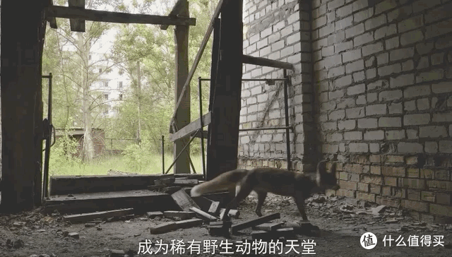 豆瓣9.7,零差评,他一出手就是惊艳之作