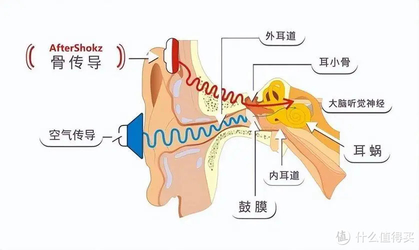 盘点2022年使用过的骨传导耳机