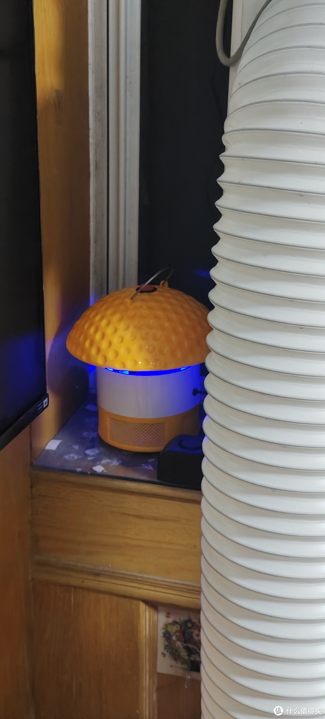 灭蚊灯每年都要更换又换了个新的蘑菇久量家用灭蚊灯室内灭蚊插电式