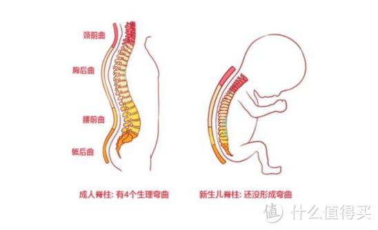 【高效干货】一文带你搞懂如何选择安全座椅