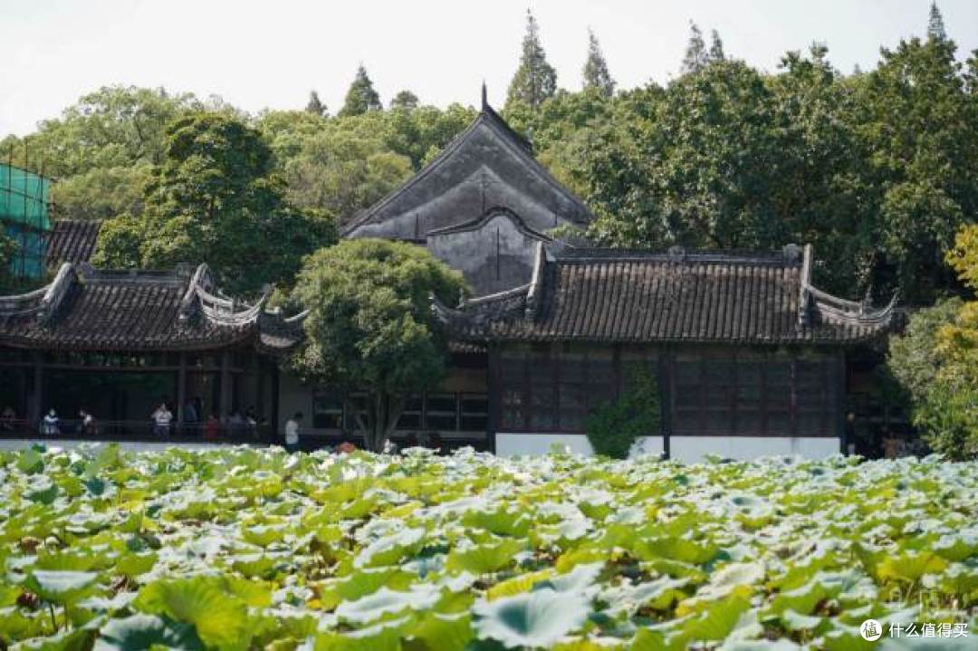 比乌镇等级高的浙江旅游古镇,明清还是贡品基地,杭州1.5小时可达