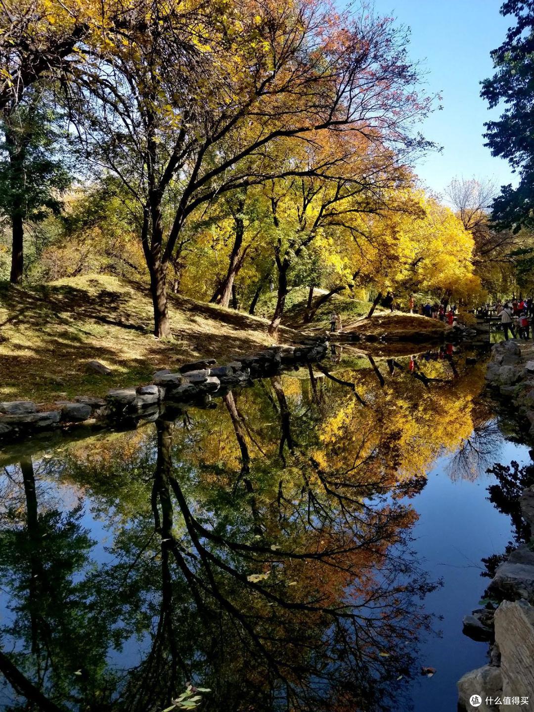旅游和街拍神器,带着手机记录秋季的美景