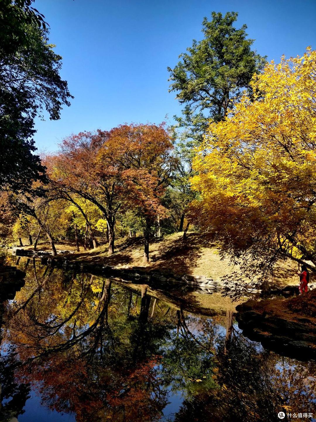 旅游和街拍神器,带着手机记录秋季的美景