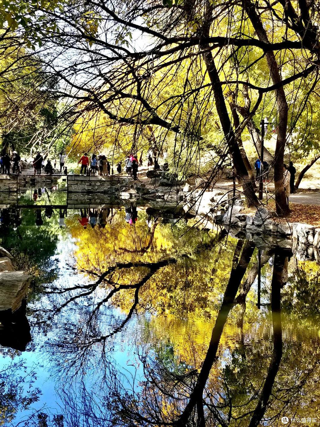 旅游和街拍神器,带着手机记录秋季的美景