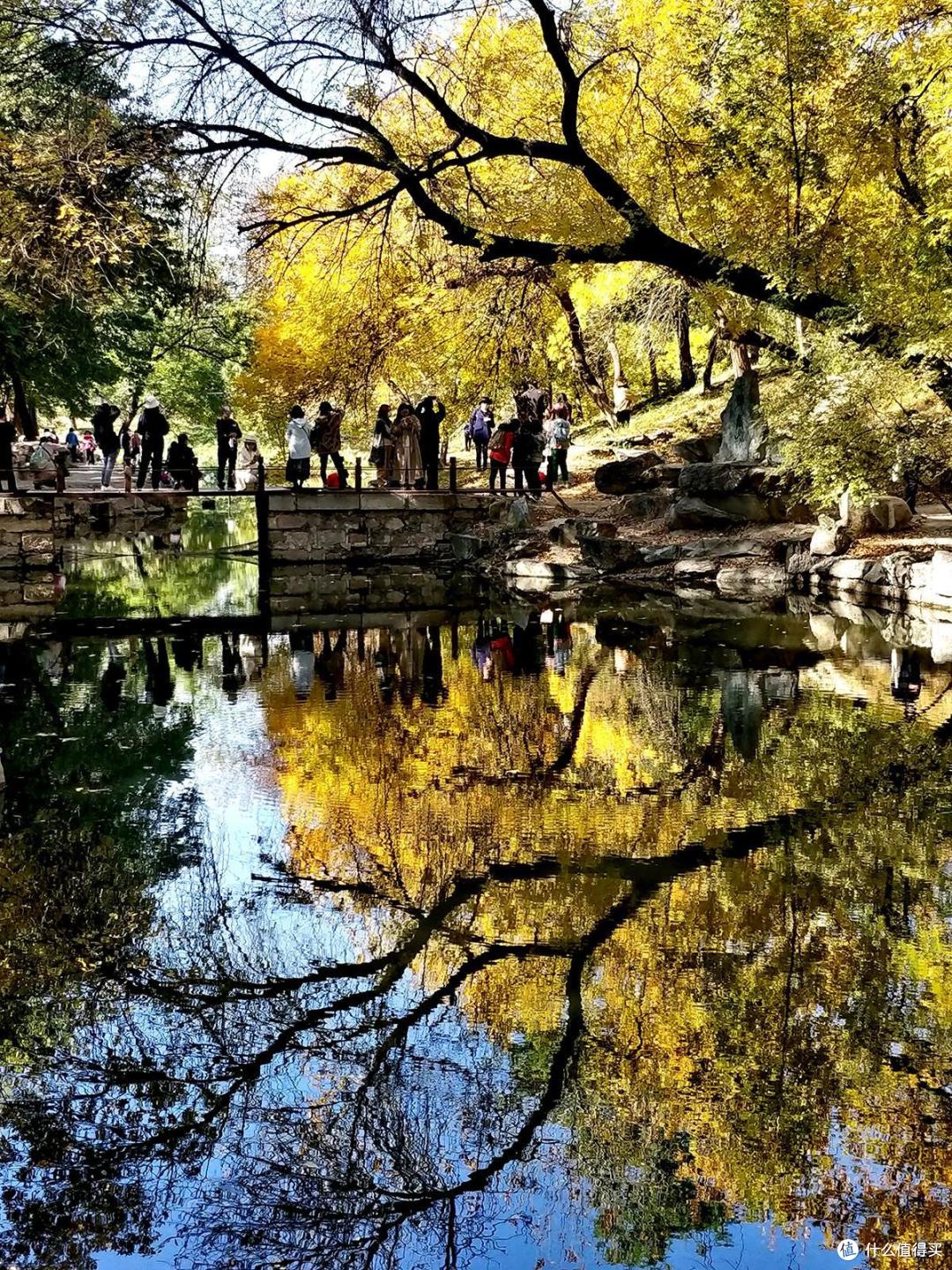 旅游和街拍神器,带着手机记录秋季的美景