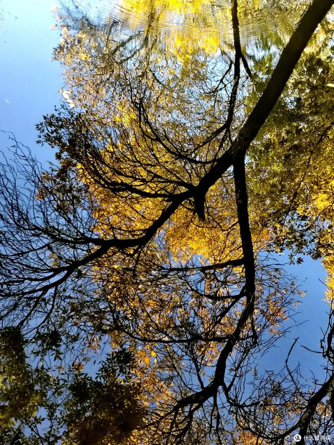 旅游和街拍神器,带着手机记录秋季的美景