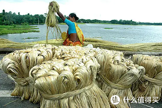 什么黄麻床垫最好？黄麻到底是什么？s型黄麻s型精细黄麻s型原生麻s型精梳黄麻的区别