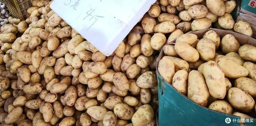 这个冬天你囤菜了吗？