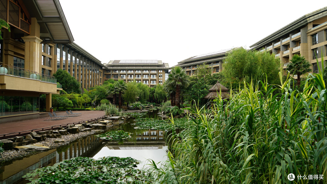 IHG大西南区的特立独行者:昆明洲际酒店 湖景套房 入住体验