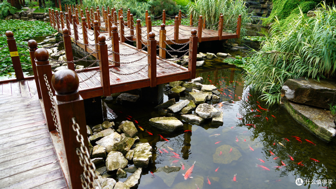 IHG大西南区的特立独行者:昆明洲际酒店 湖景套房 入住体验