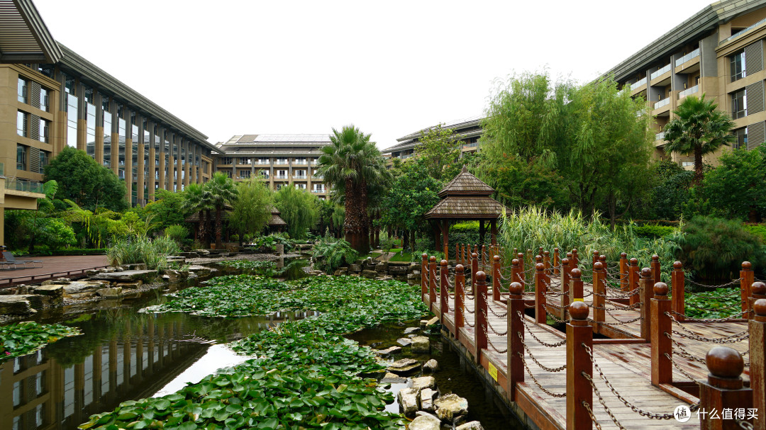 IHG大西南区的特立独行者:昆明洲际酒店 湖景套房 入住体验