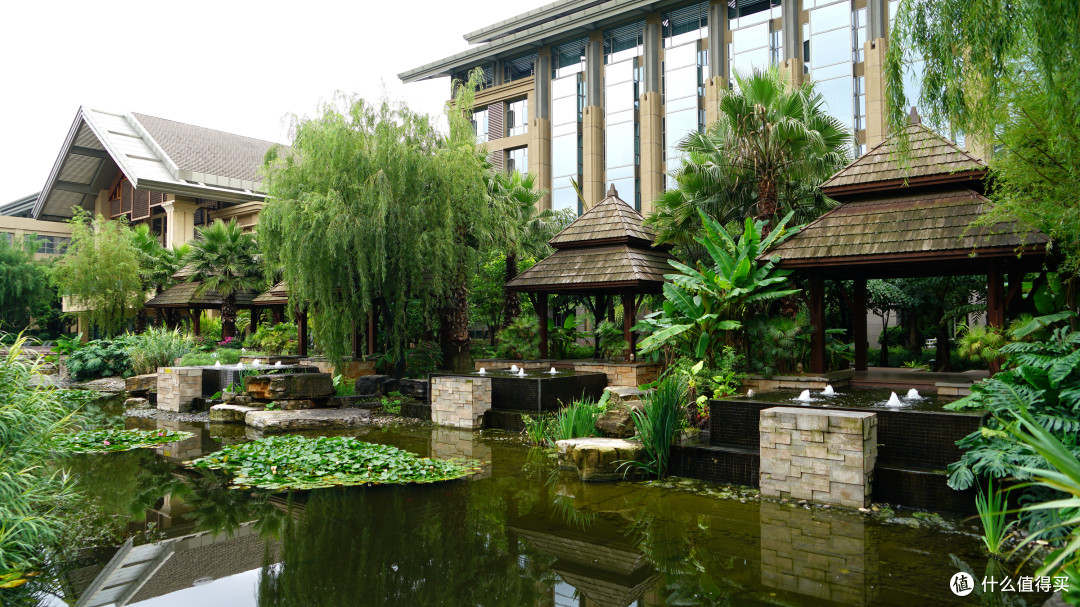 IHG大西南区的特立独行者:昆明洲际酒店 湖景套房 入住体验