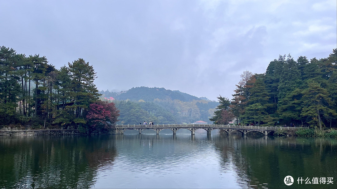 秋色浓，片片枫叶尽染红