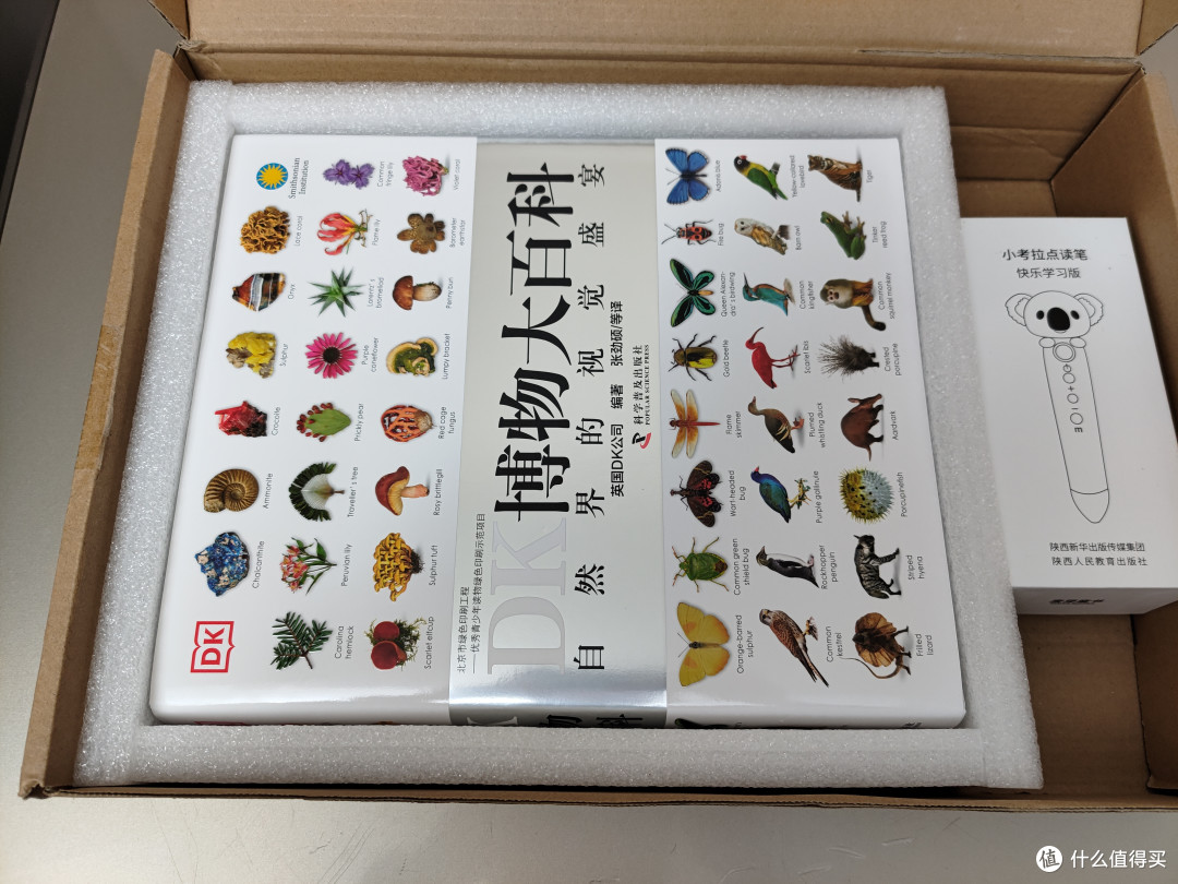 DK博物大百科点读版小晒