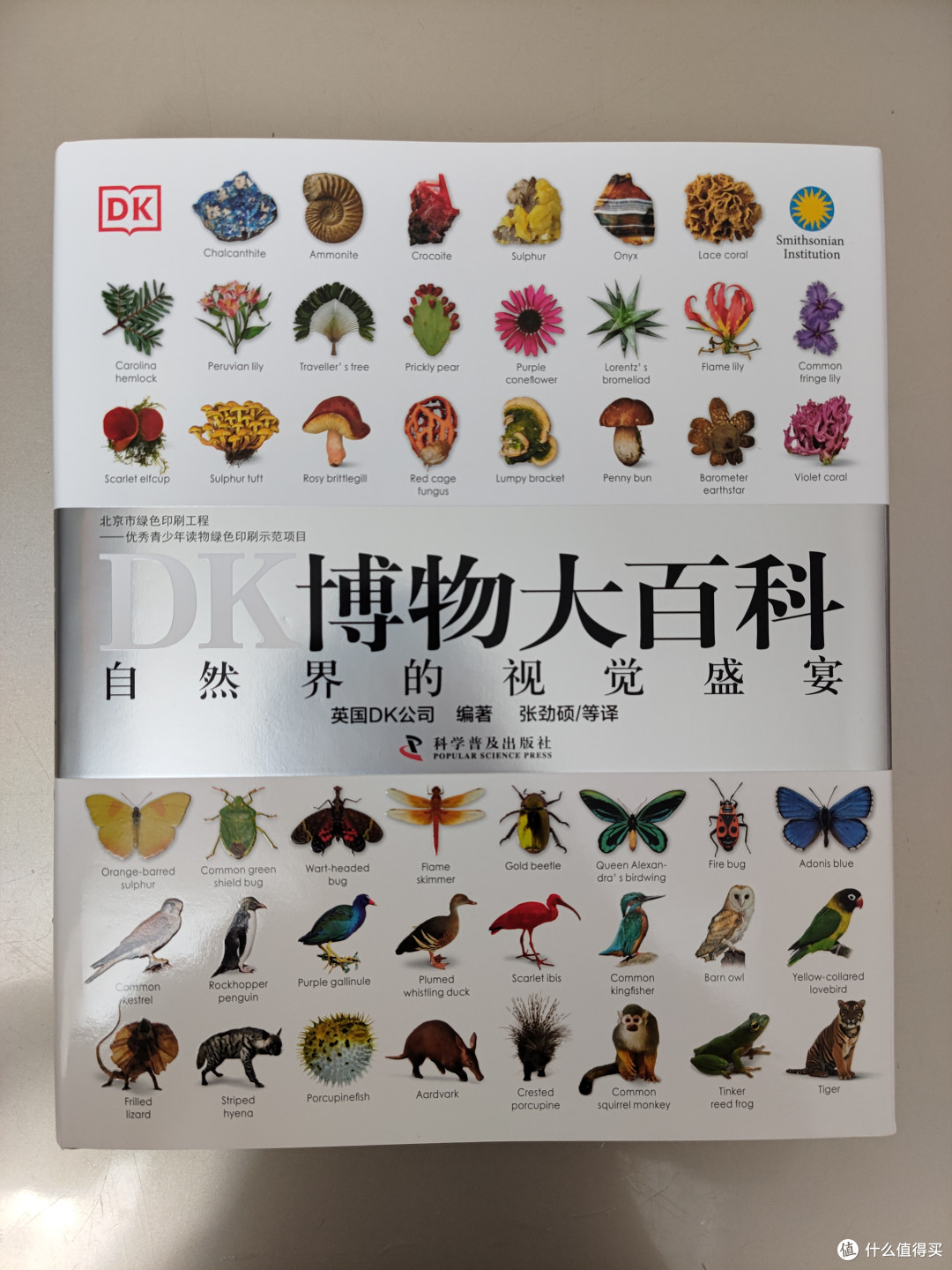 DK博物大百科点读版小晒