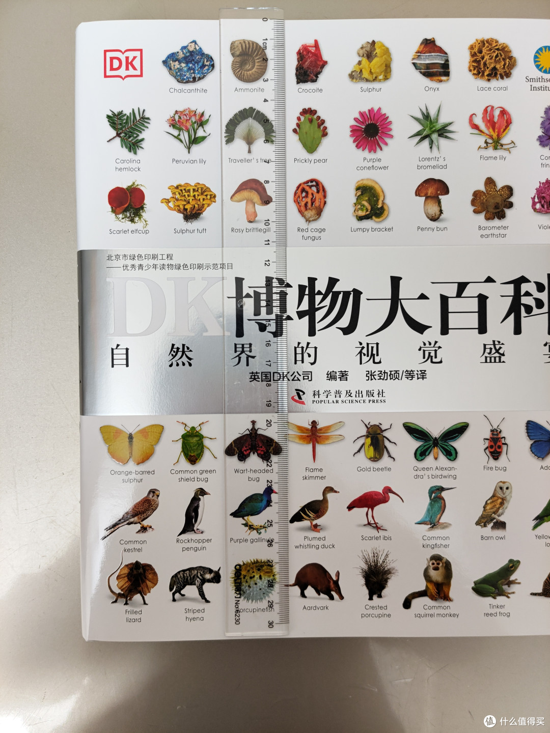 DK博物大百科点读版小晒